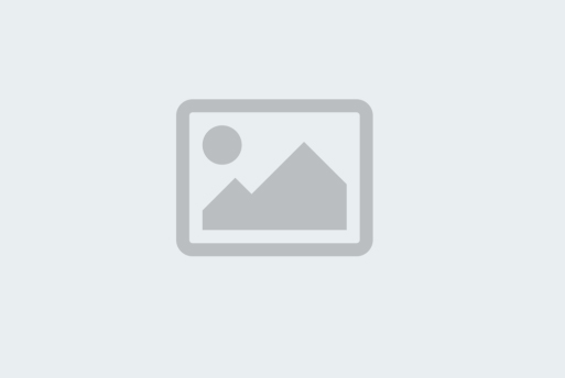 P.O. Alkatrész Kft.